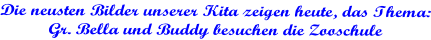 Die neusten Bilder unserer Kita zeigen heute, das Thema: Gr. Bella und Buddy besuchen die Zooschule